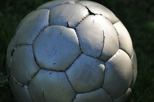 又见绝平！巴塞罗那与菲尼克斯太阳鏖战至终场，东契奇读秒救主